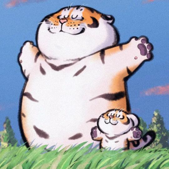 卖提莫的boy