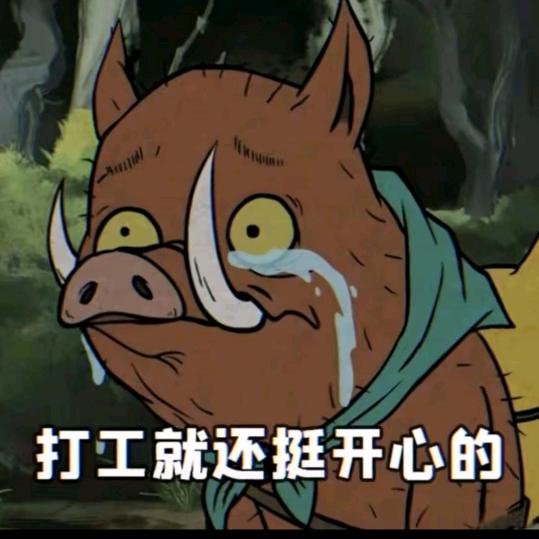 贼六