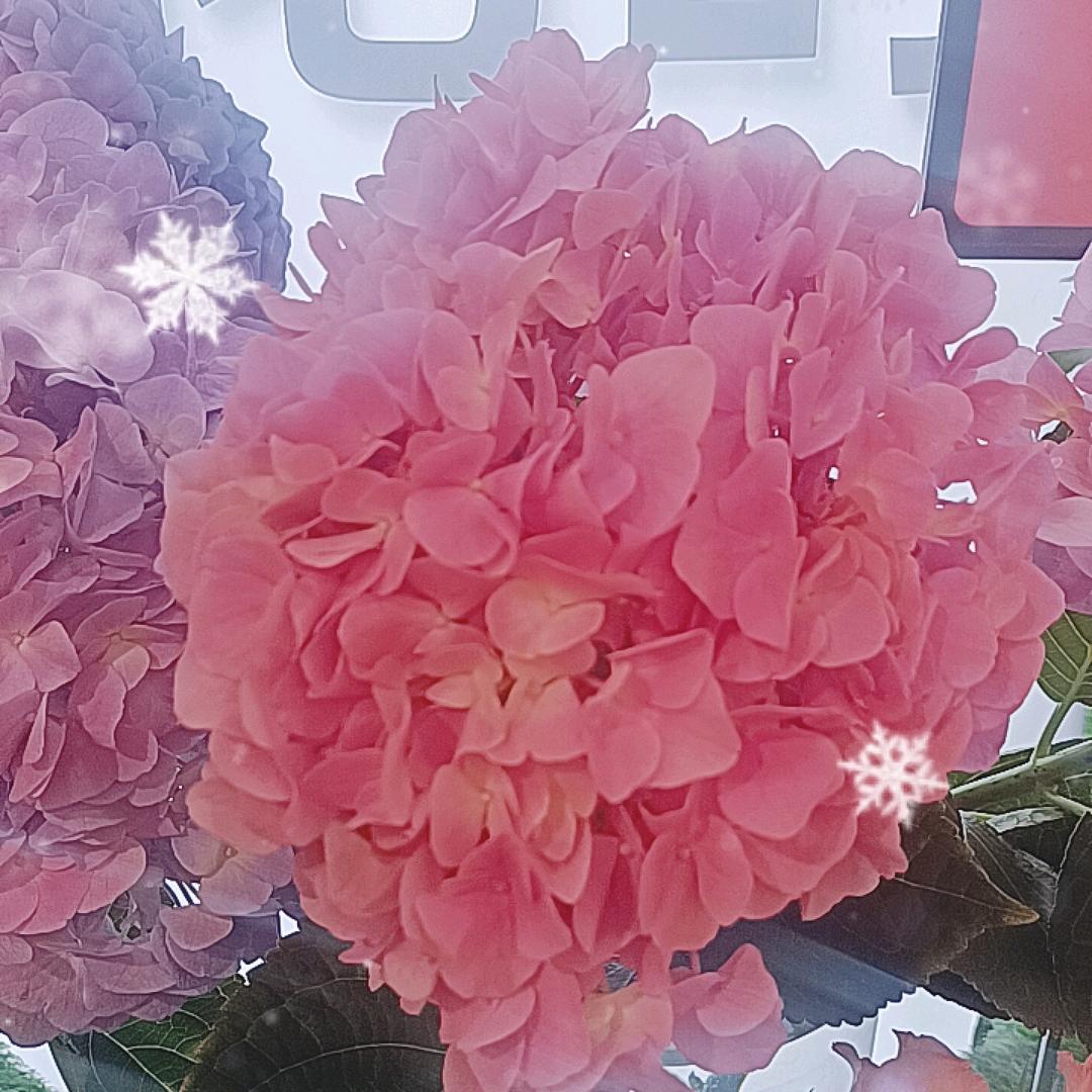 骑着蜗牛看日出