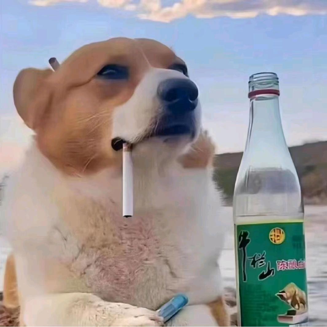 一哥