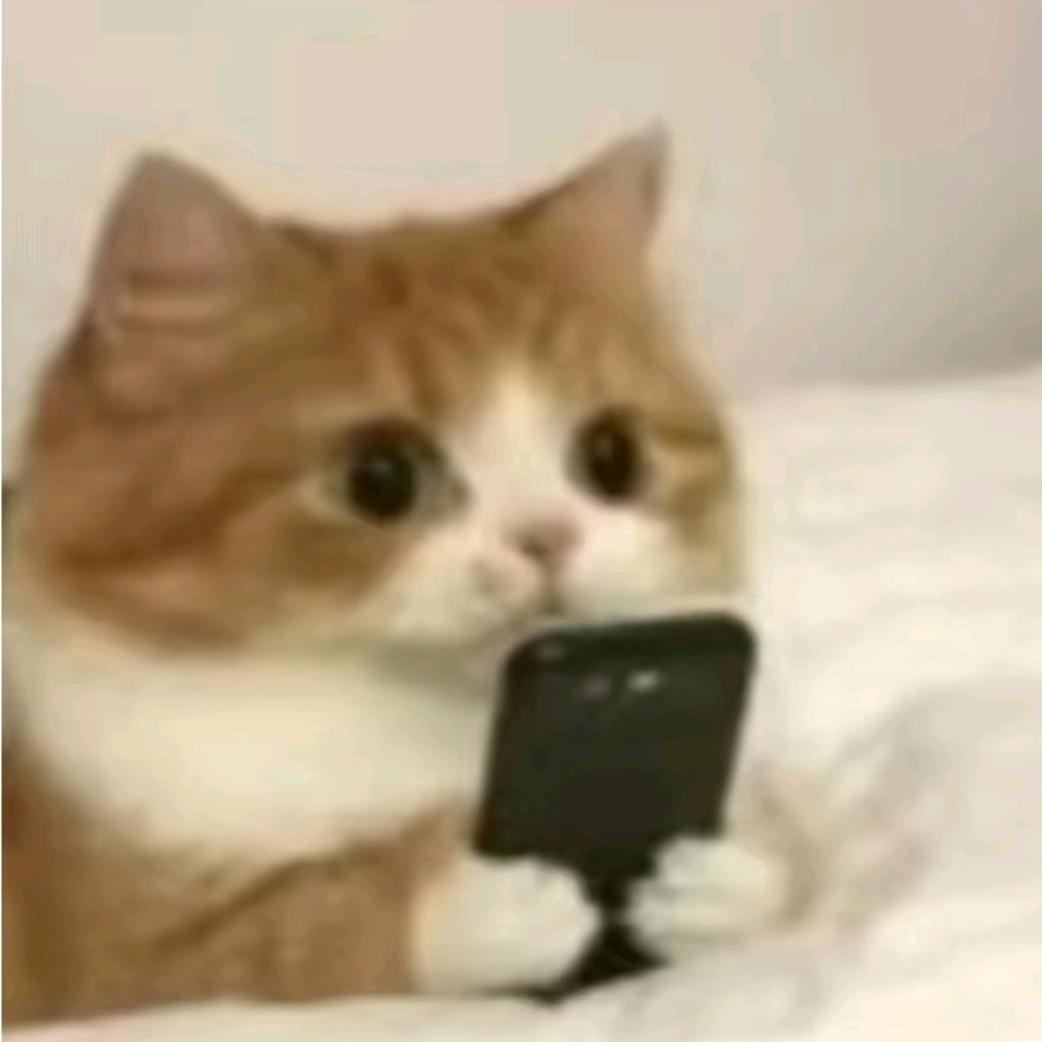 O0O