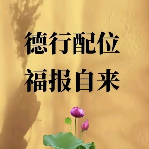 橙橙