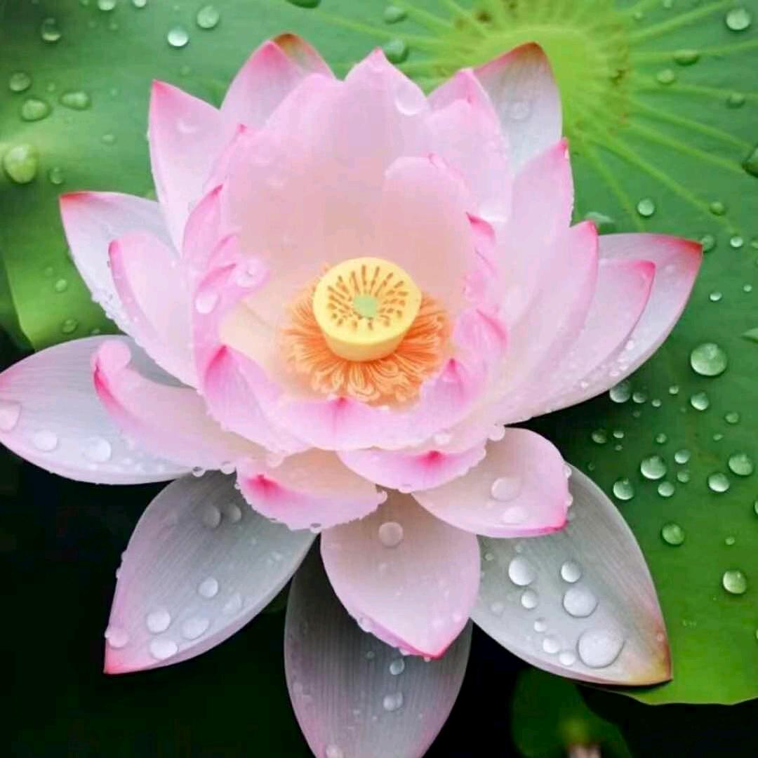 静心