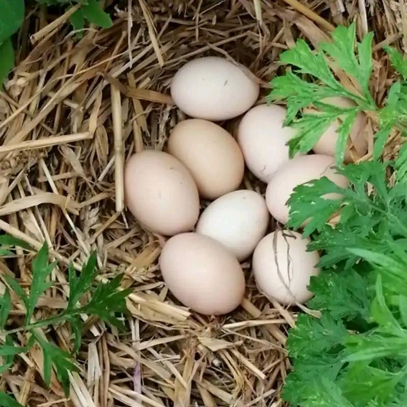 佰汇优鲜