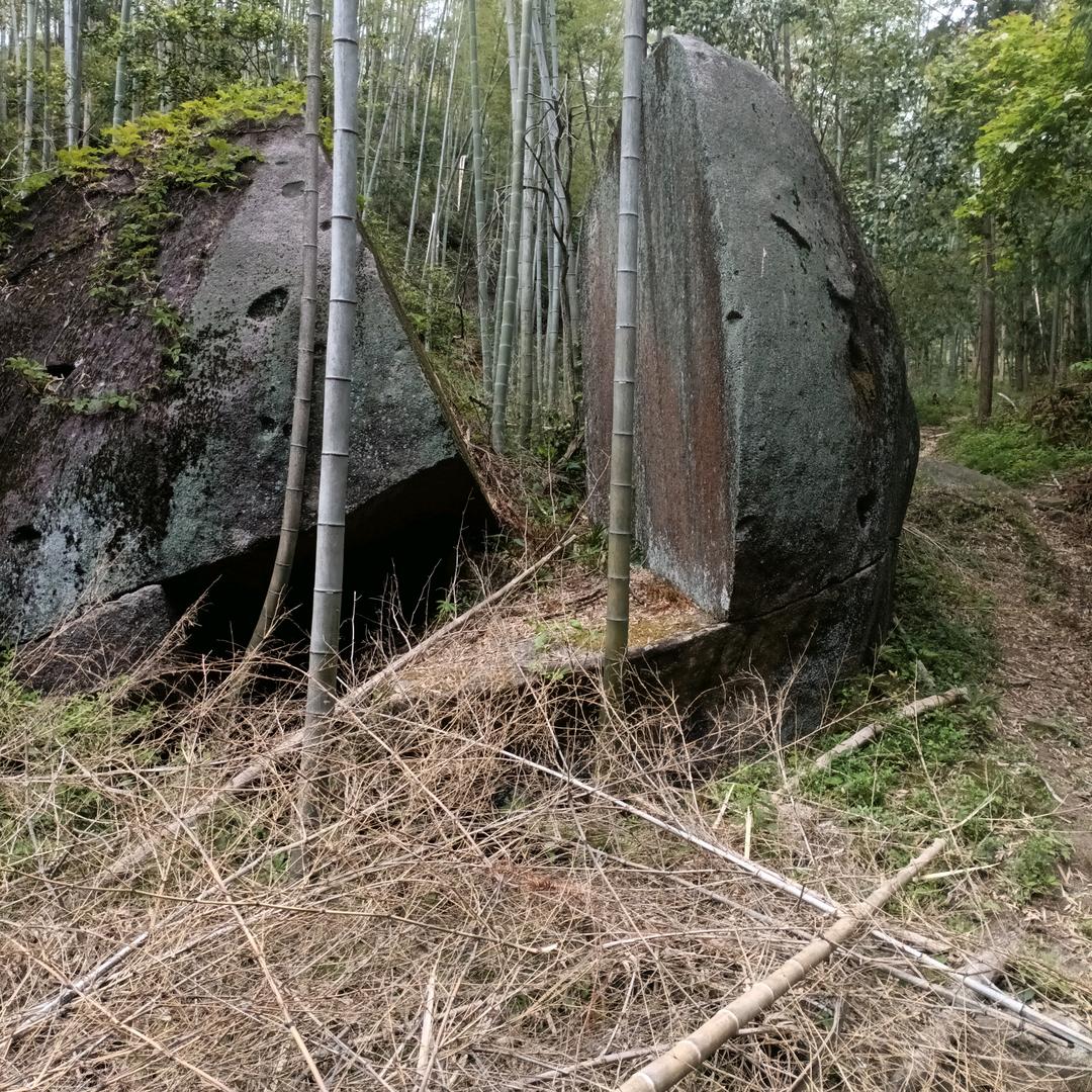 音乐演艺团廖姐