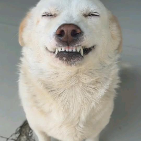 记录破碎的自己
