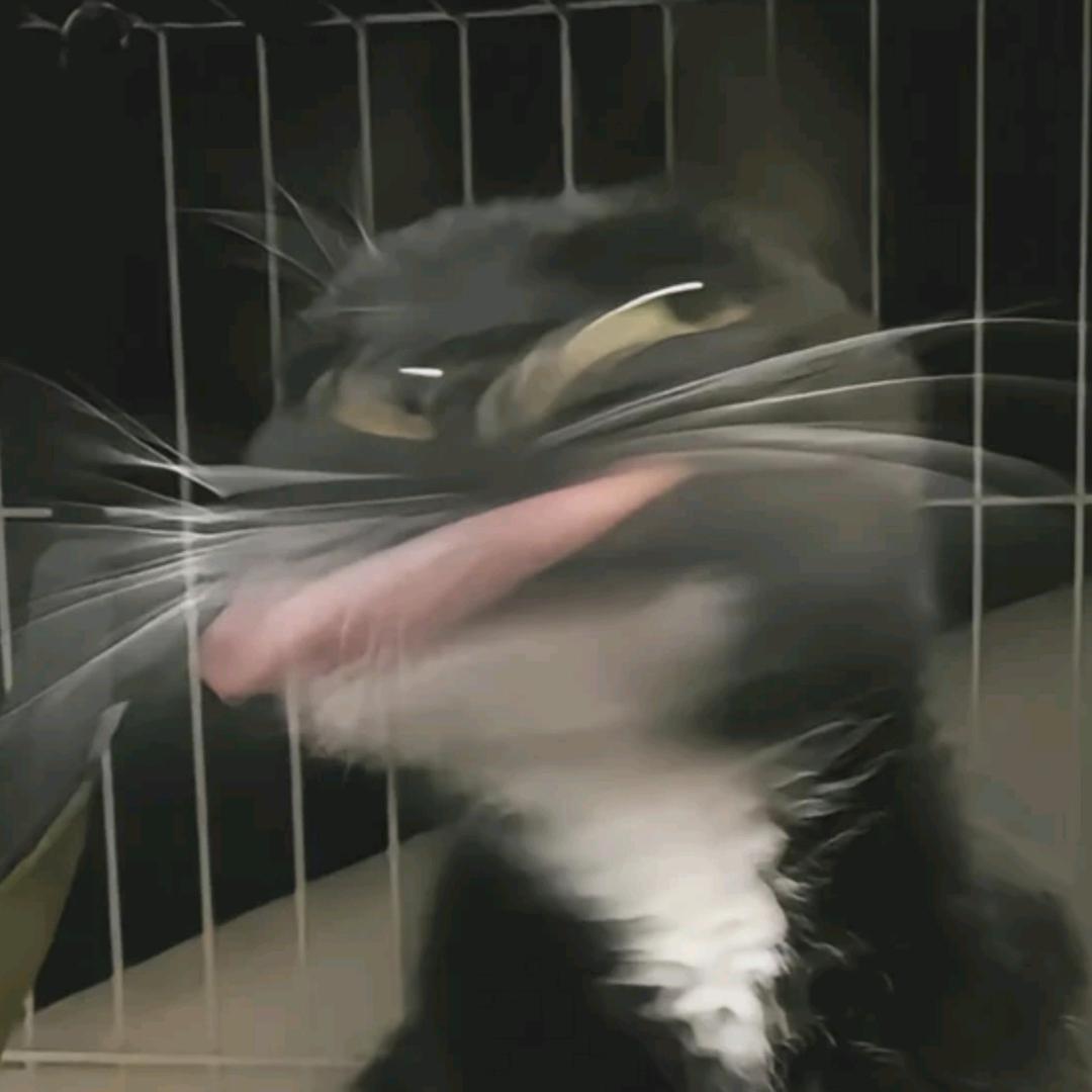 瞌睡睡不醒