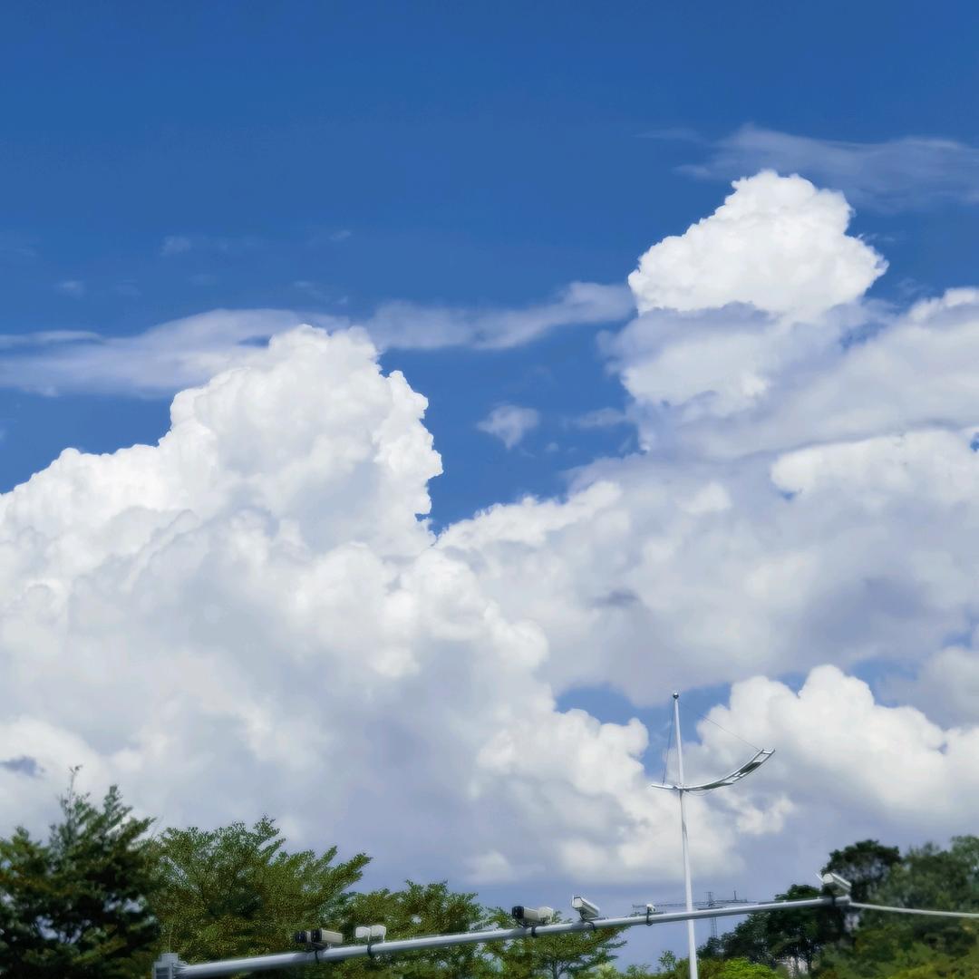 小小