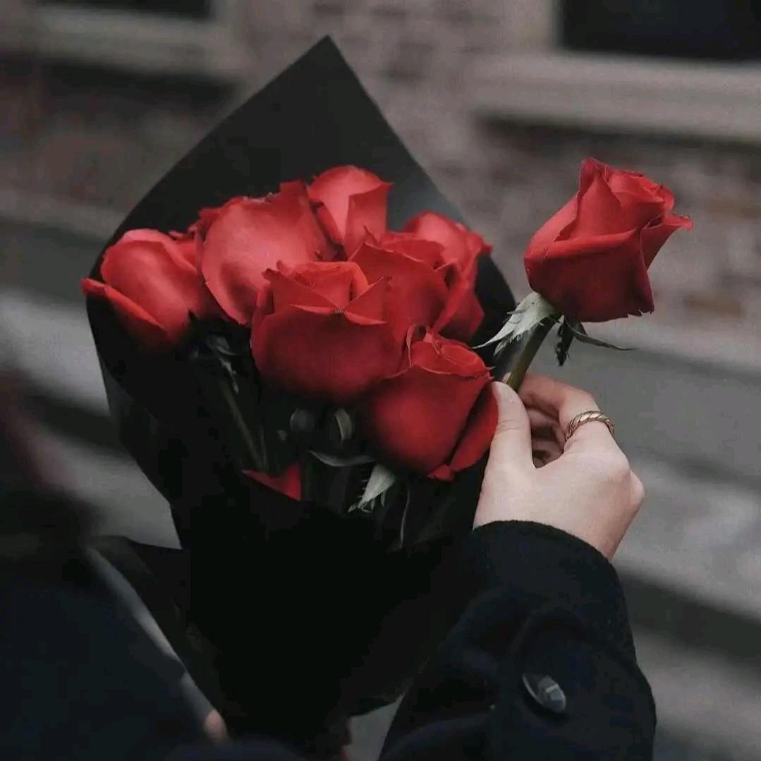 伊ㅤㅤㅤㅤㅤㅤㅤㅤㅤㅤㅤㅤㅤㅤㅤㅤㅤ