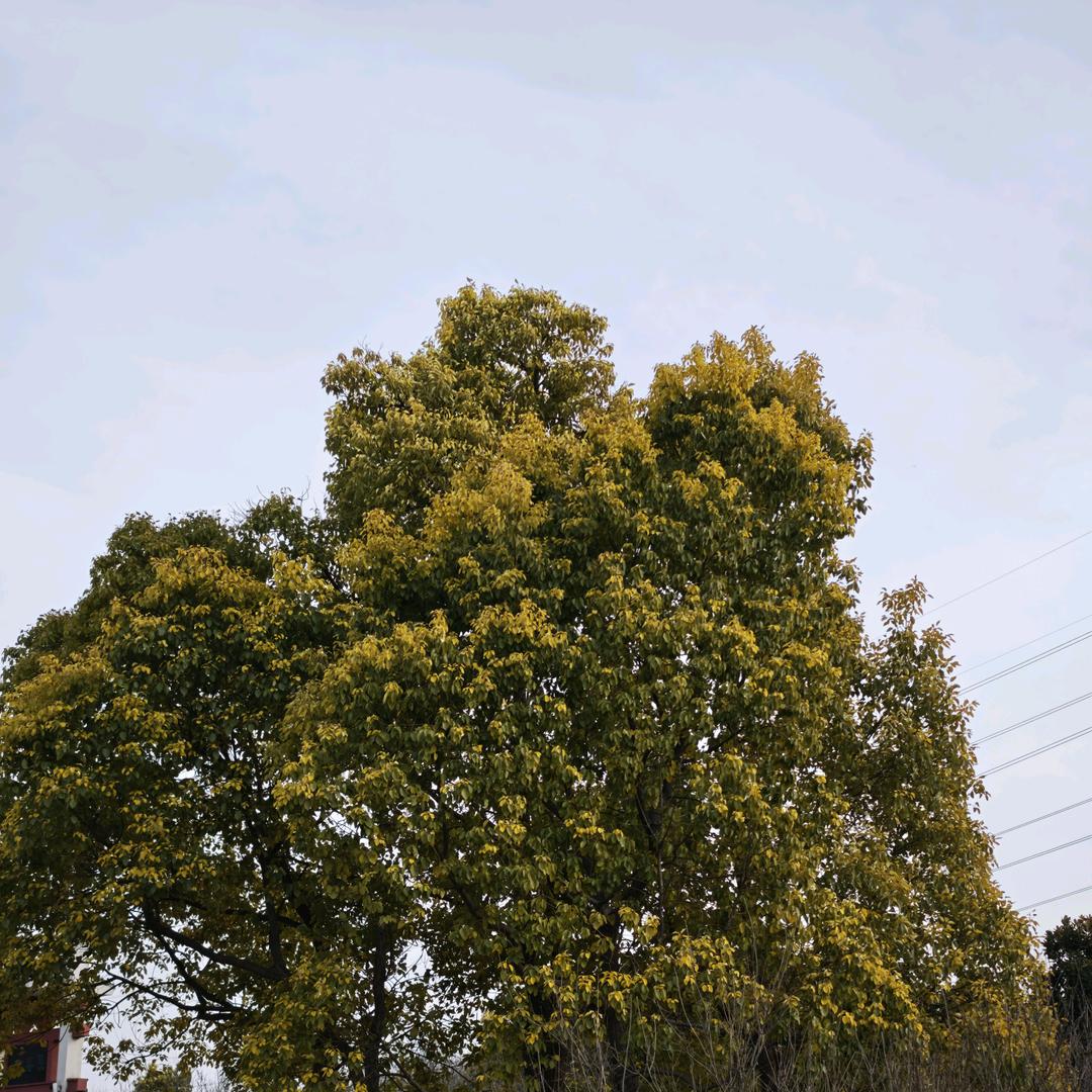 要开心