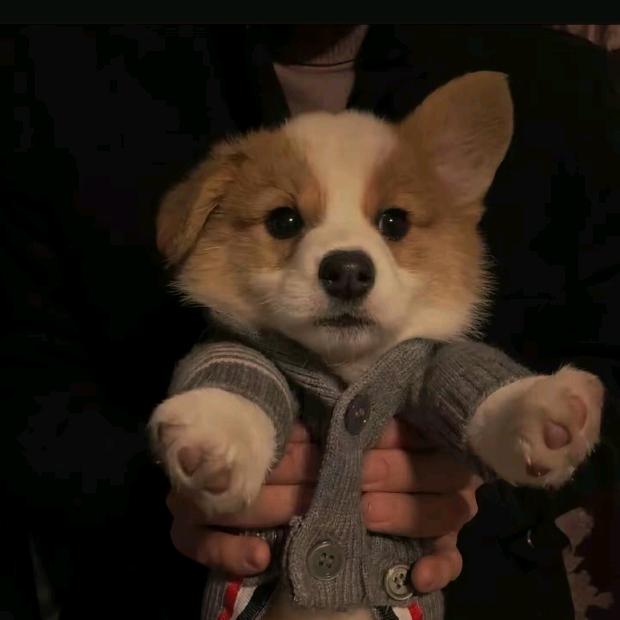 未知数ˉ