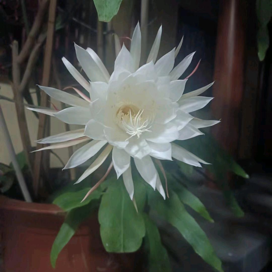 自在