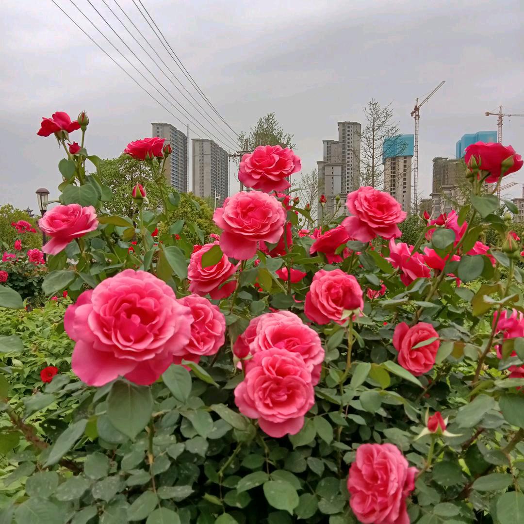 我对你幸福的人我