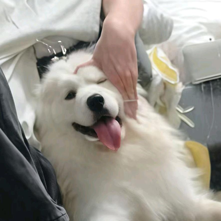说话难听