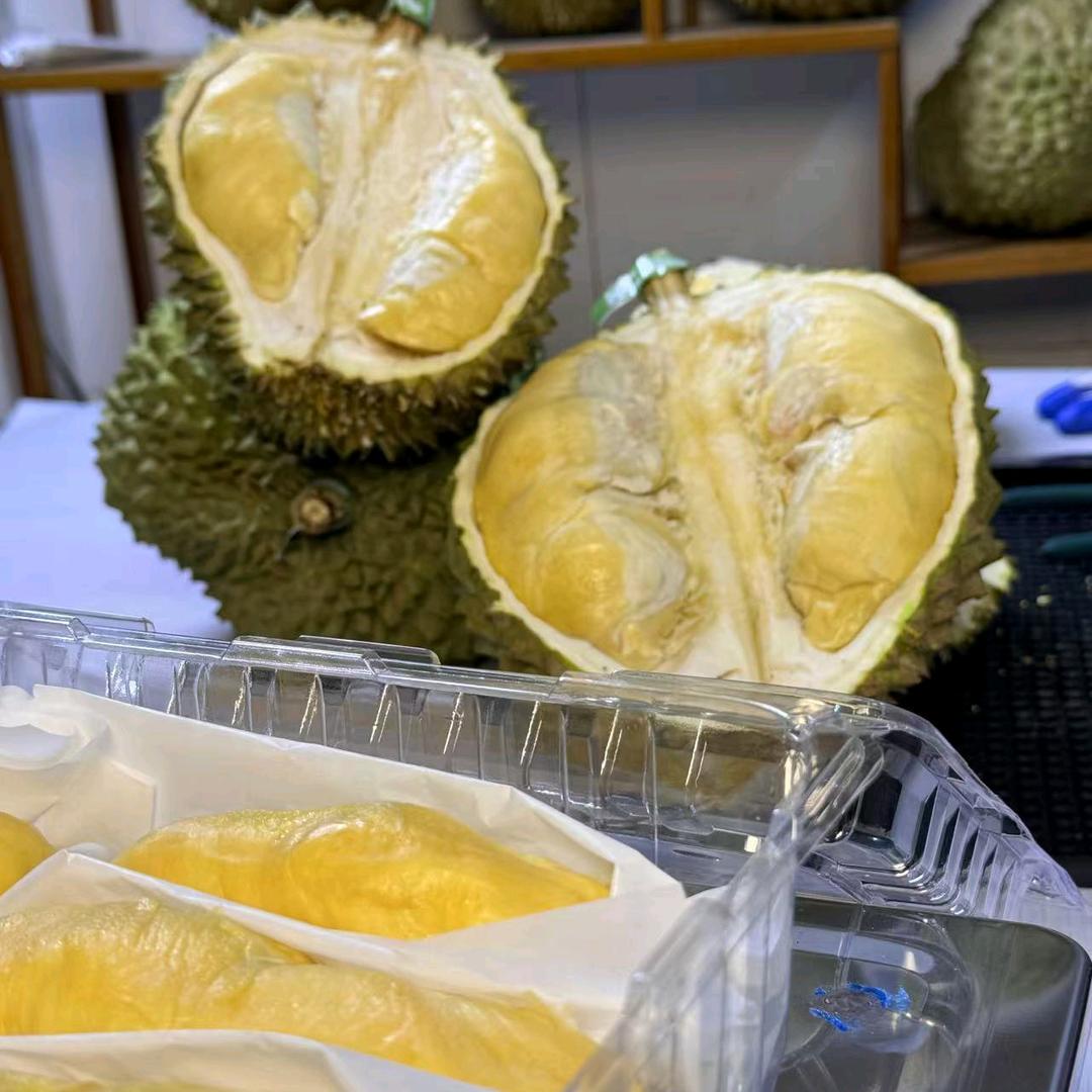 中乾一城时光