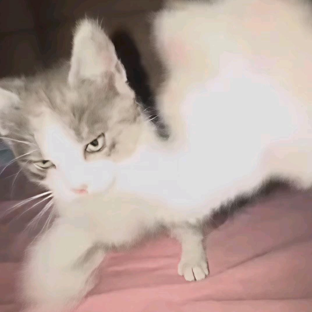 迎接我的狮子之牙吧