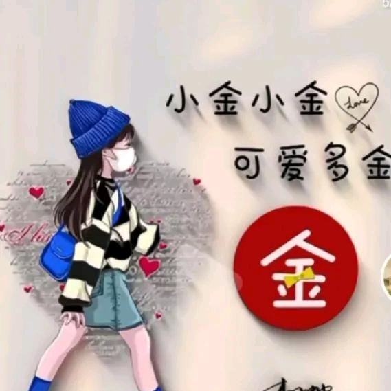 小金小金日进斗金