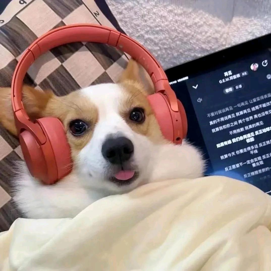 开包辣条压压惊