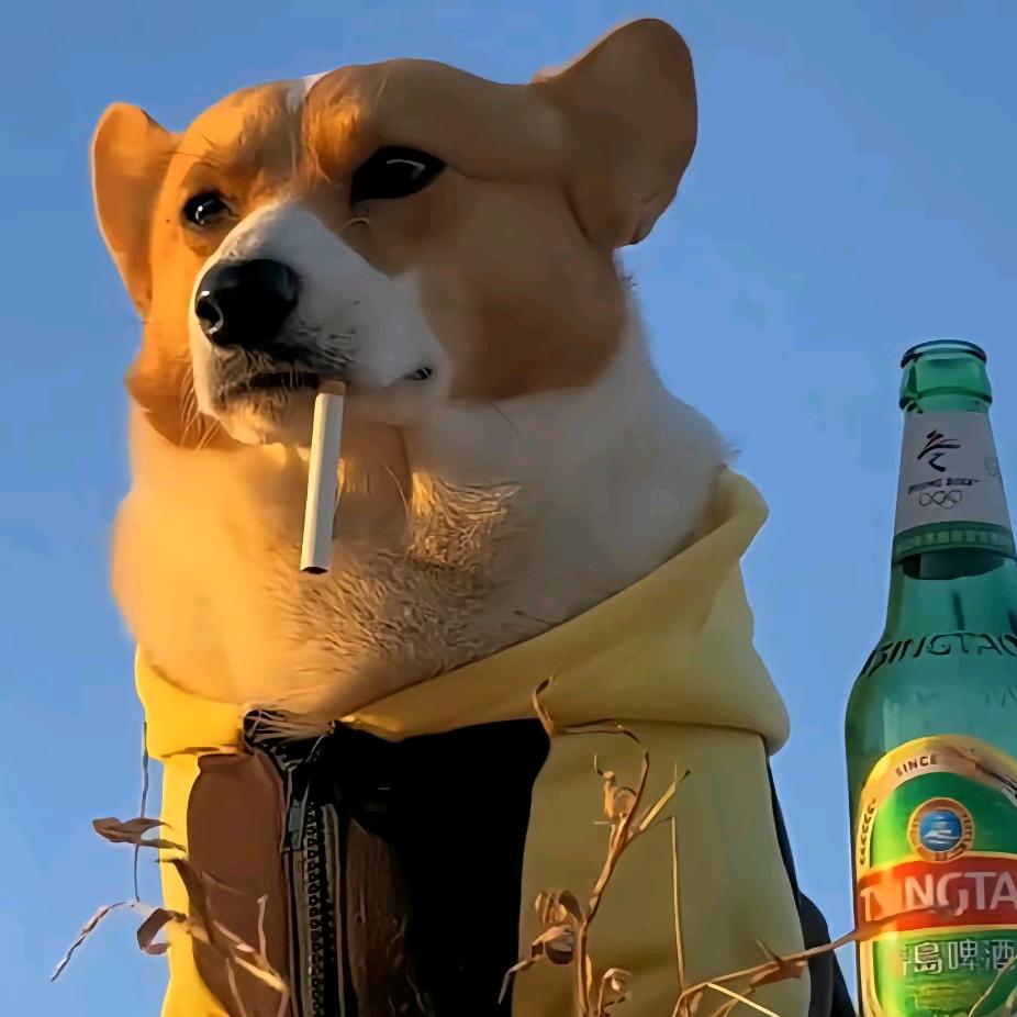 砂糖橘炒月饼