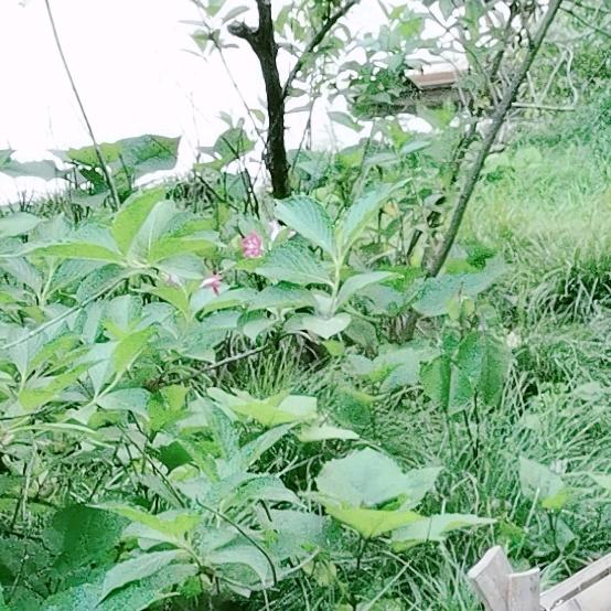 睿智一点
