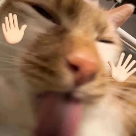 靑