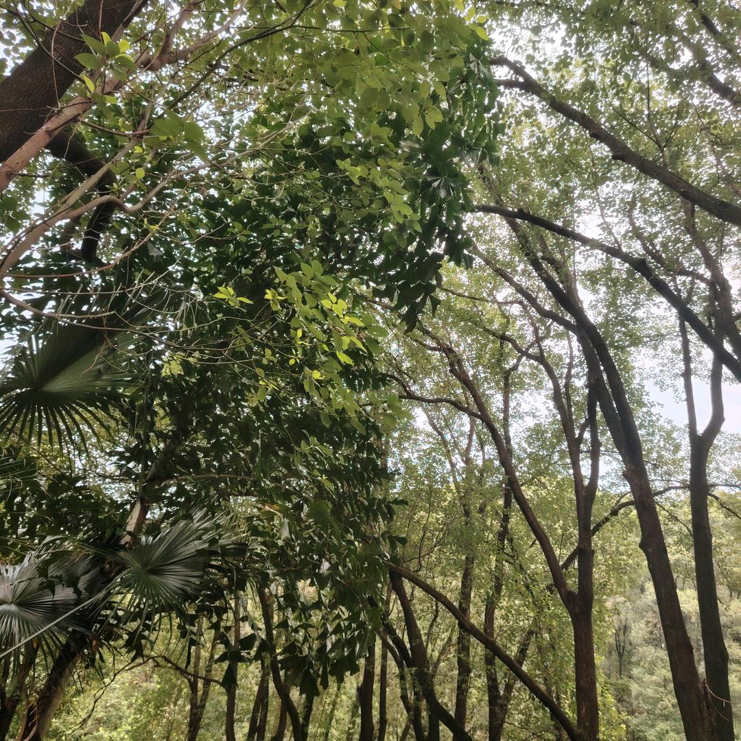 岁月无情