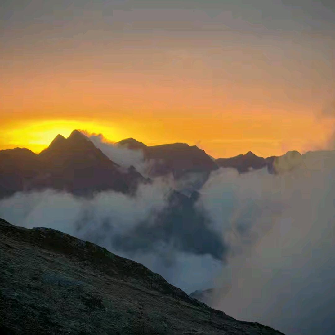 聚会呀(减肥中)