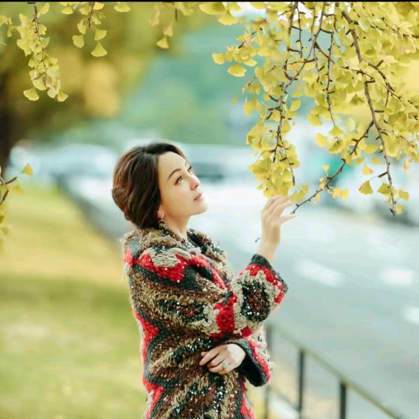 雪姨王琳 【私人衣橱爆款返场】