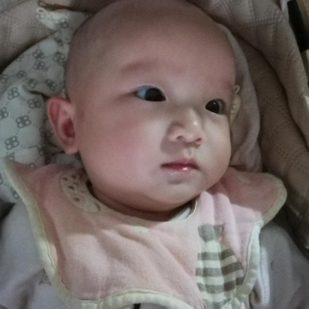 南有嘉木 北有相思  dingshixi