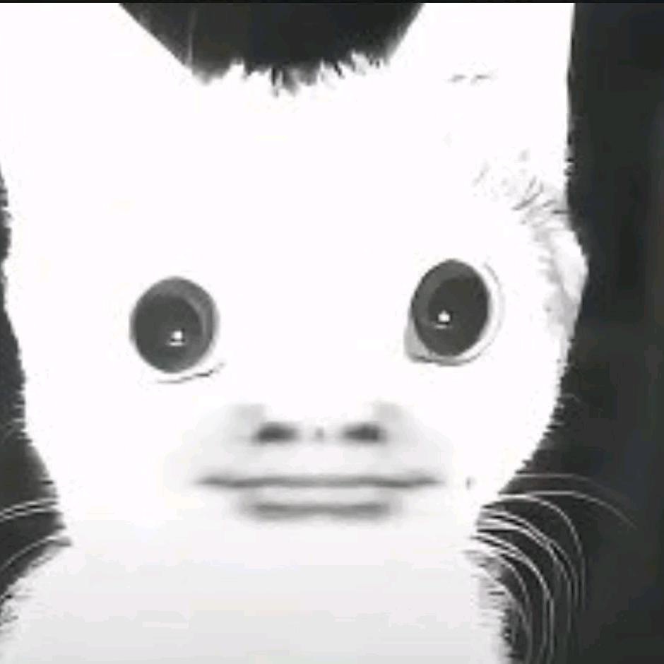 大迫杰.( ╹▽╹ )