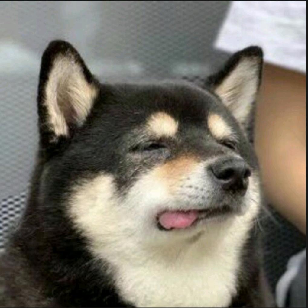 灰色与青