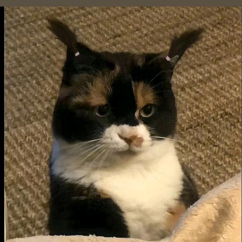 菜，就多练👐🏻（想登山版）