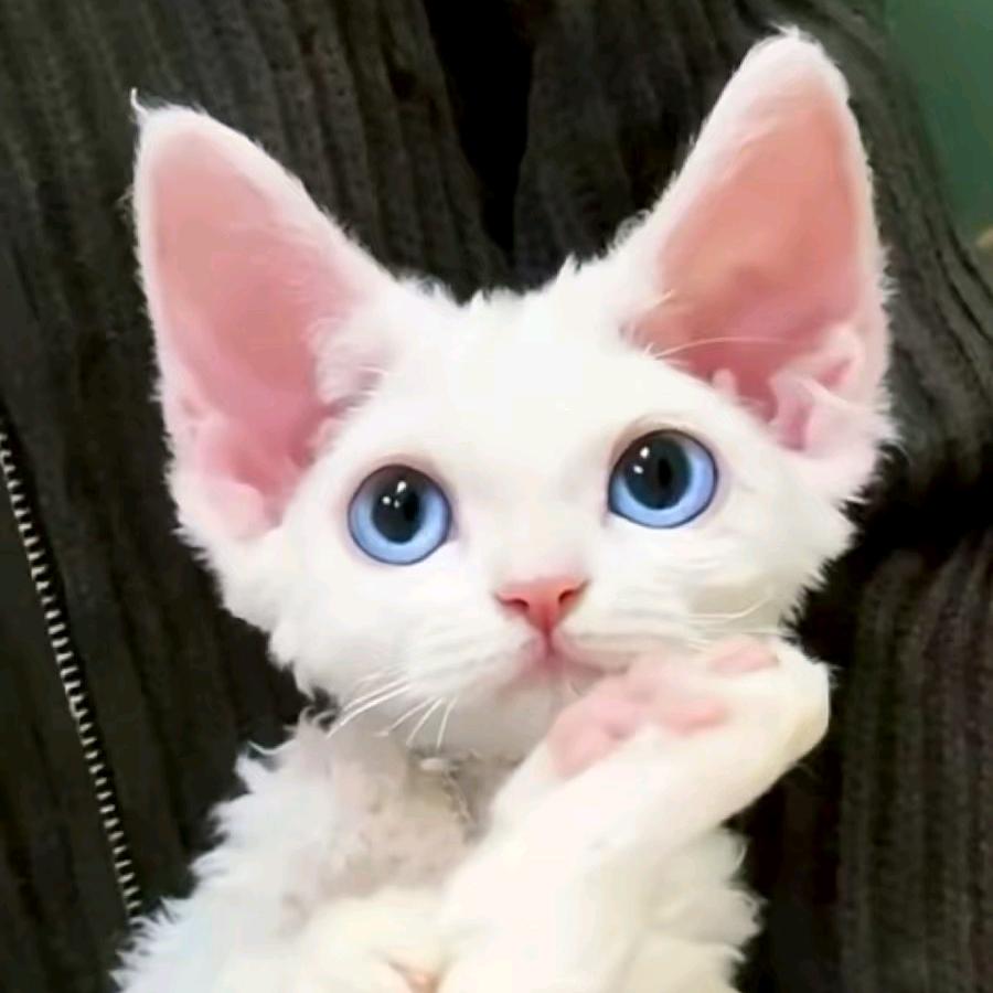 从此做个独立的女人