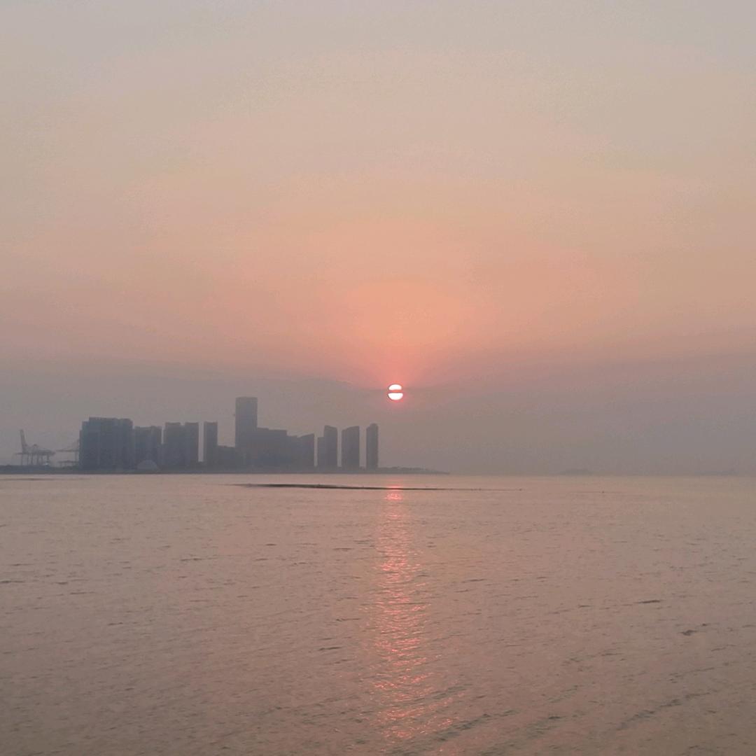 好运降林💰💰💰