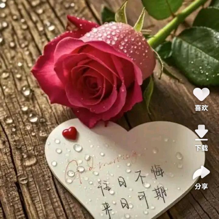 🌹过客🌹