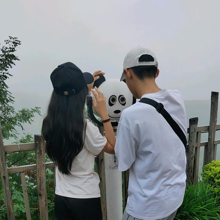 明月圆圆