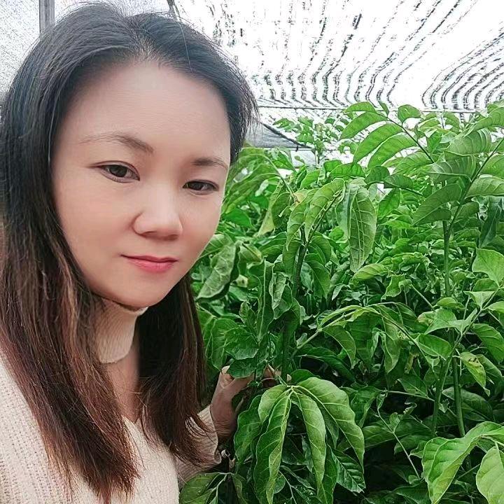 利果丰果树苗木专营店