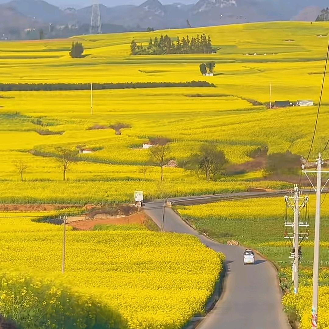 温江忆秋香园艺场