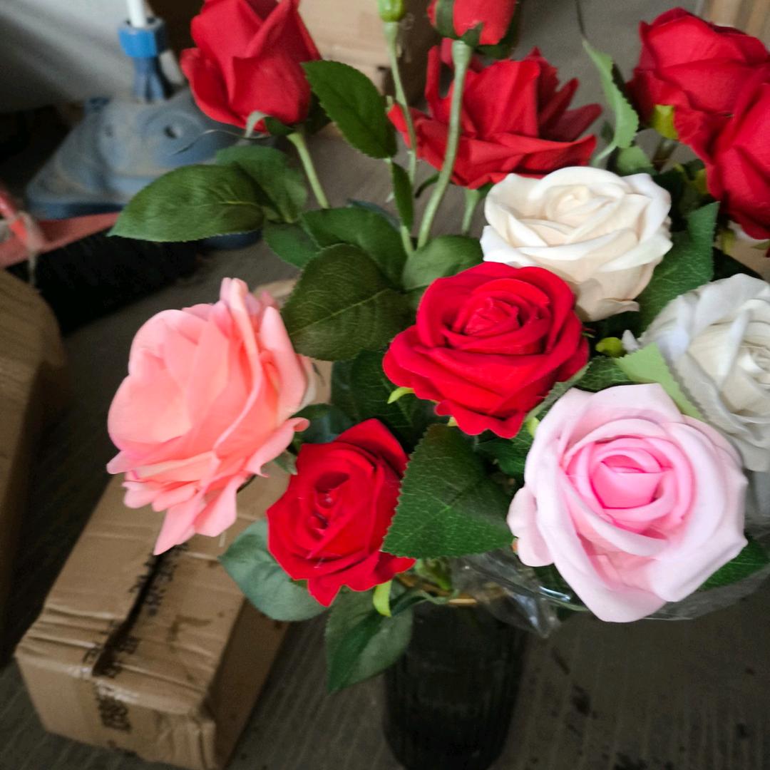 安徽省，淮北市，力星人厨卫电器批发。