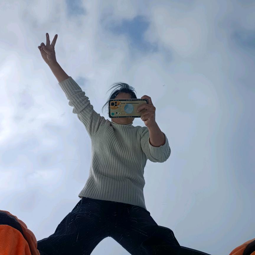 孔雀东南飞