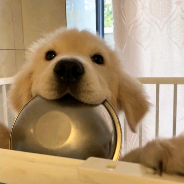 想睡觉