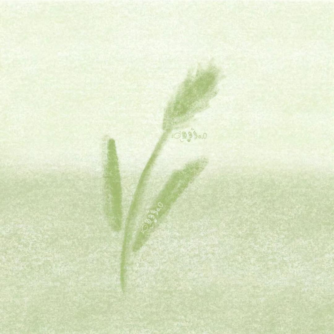 Lucky.📷(找风格版)