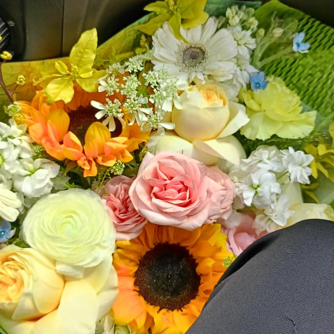 陈艳🌹🌹🌹🌹🌸🌸