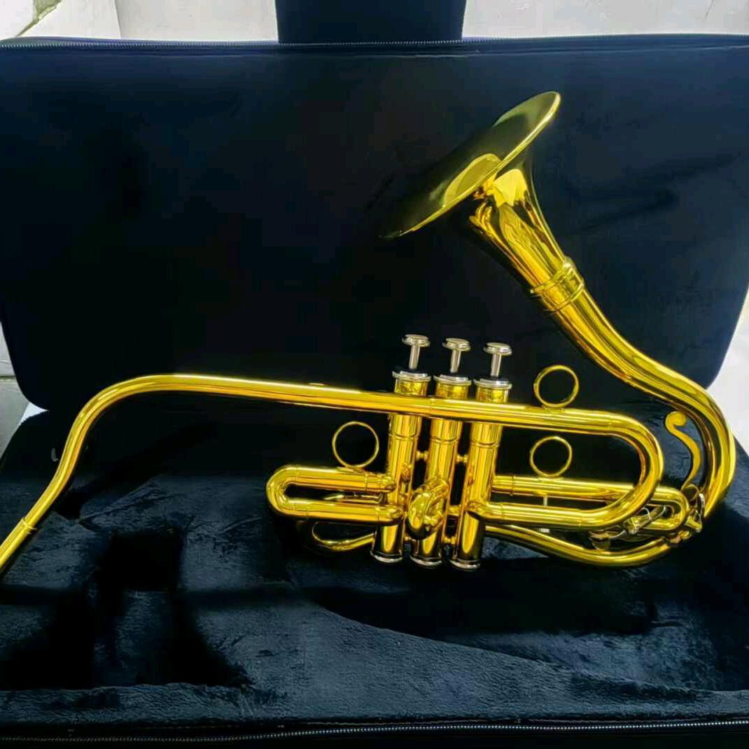西洋管乐源头厂家