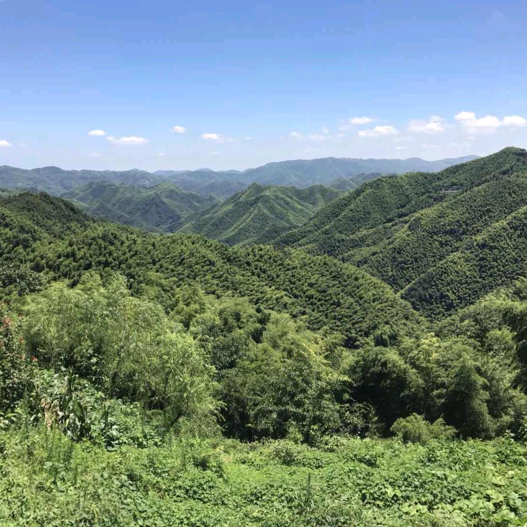 天池头像