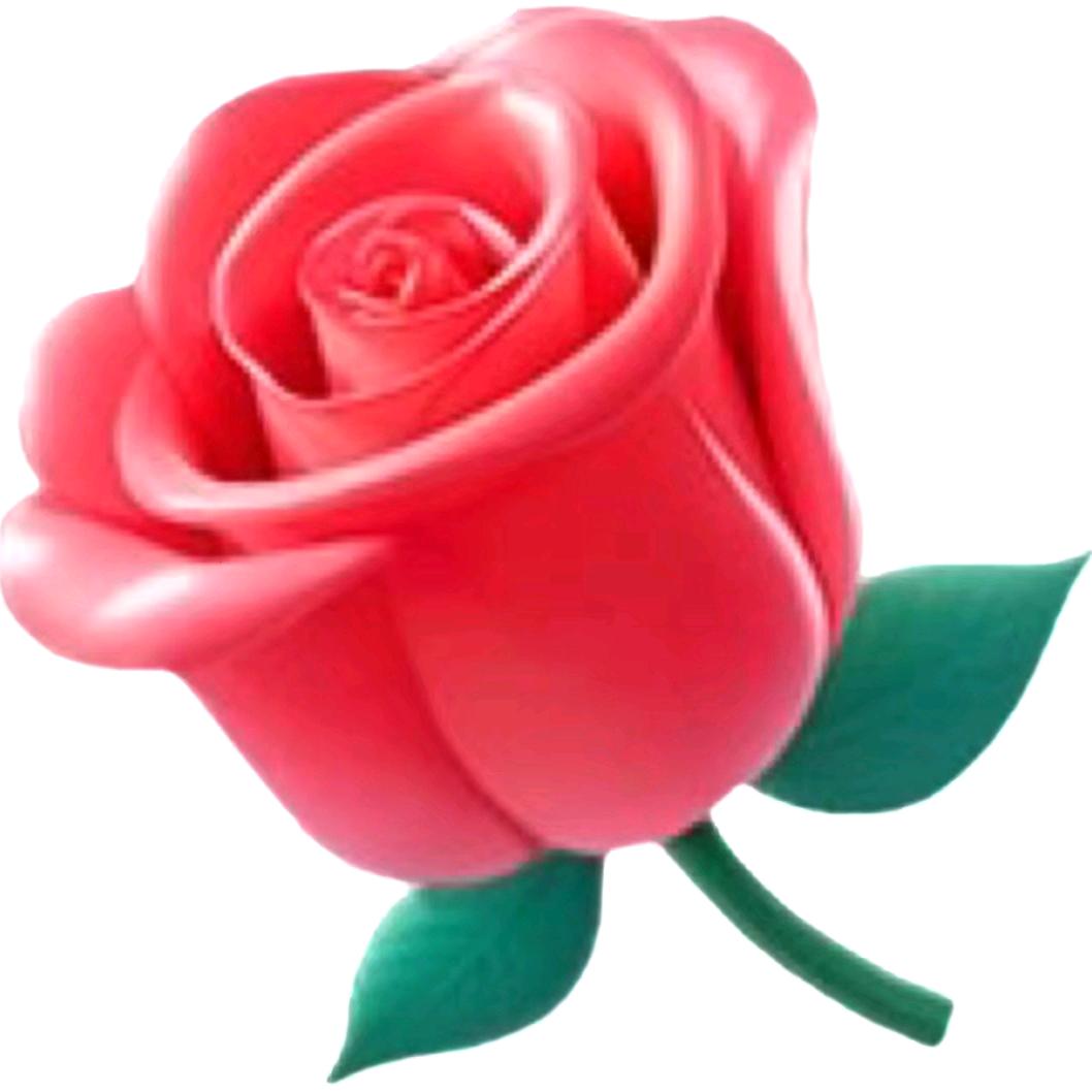 眉目成舟🇨🇳