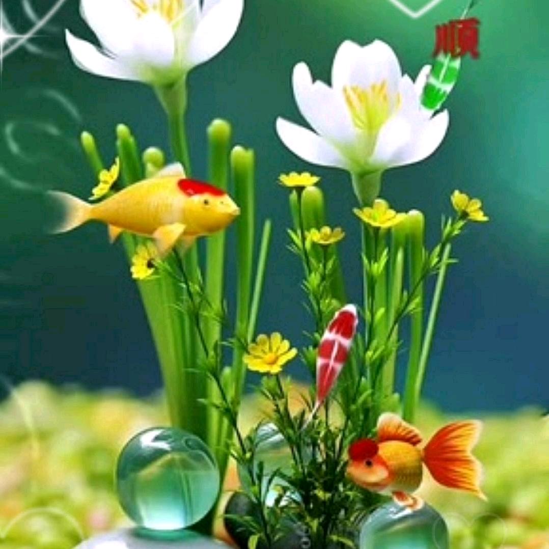 独自的生活李望