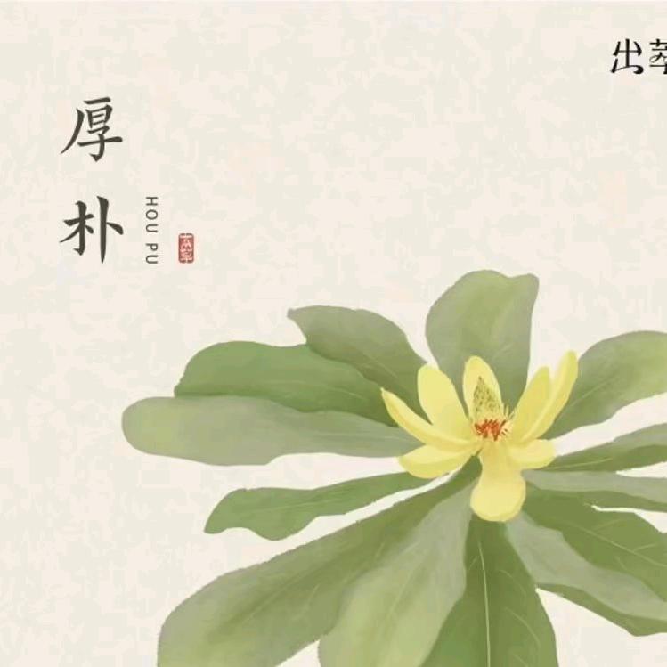 厚朴！