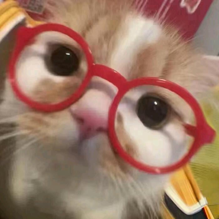 。。