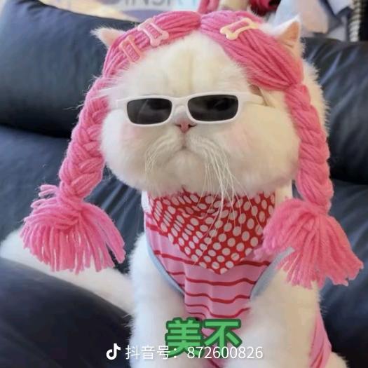 小棉袄袄